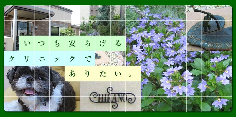 いつも安らげるクリニックでありたい。